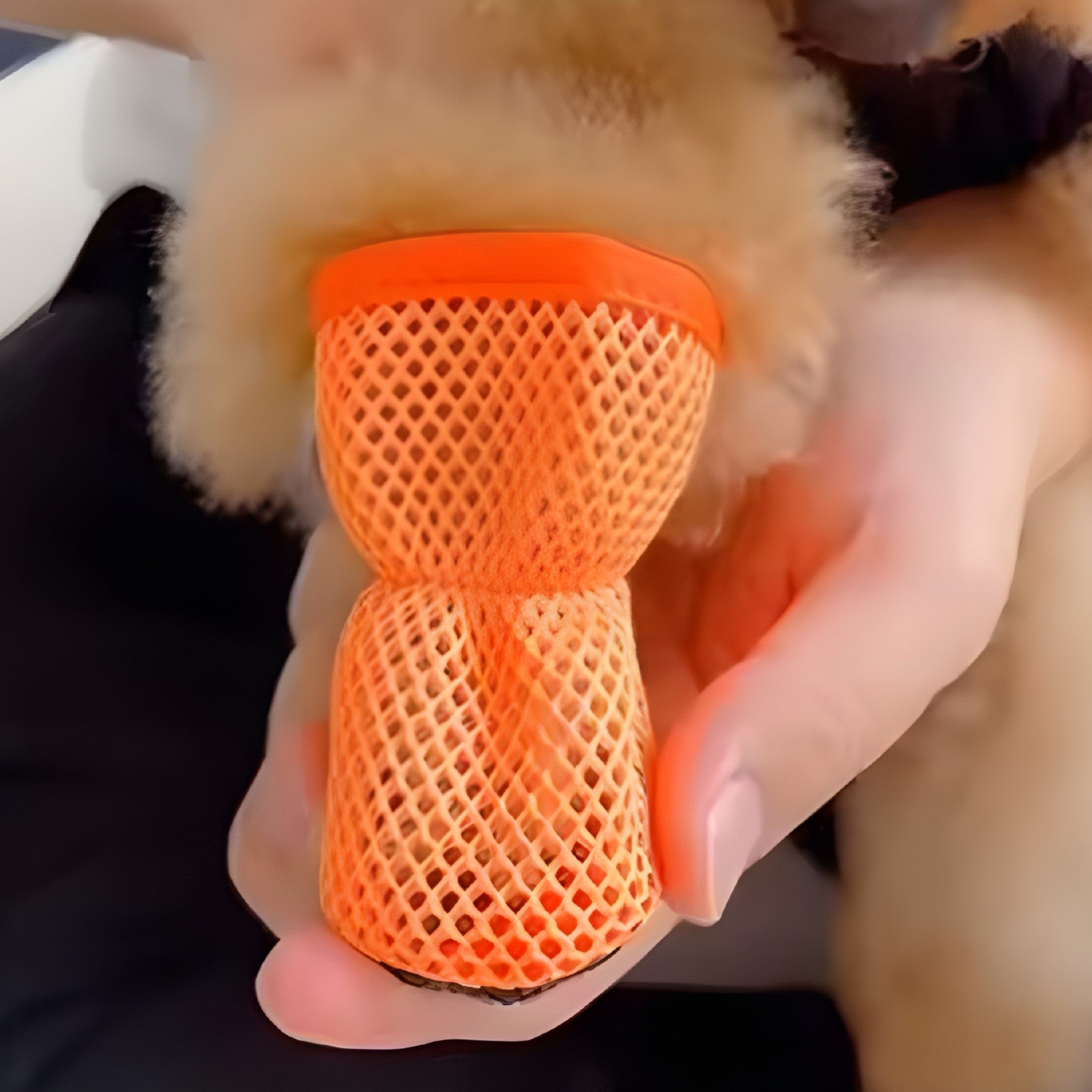Atmungsaktive Hunde-Schuhe aus Mesh
